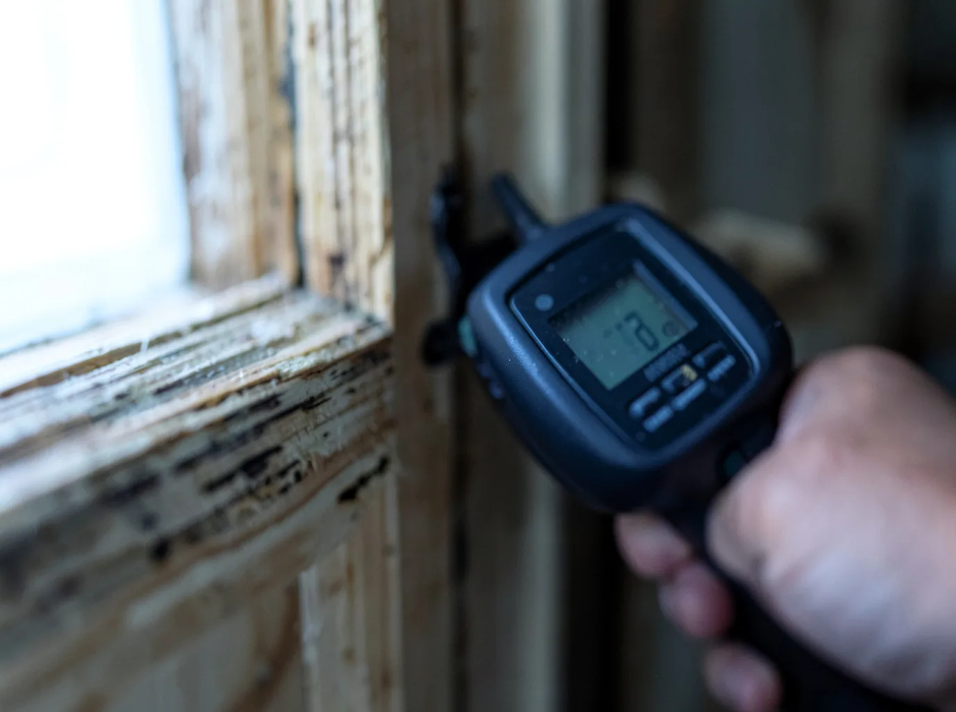 Moisture Inspection And Documentation in Shamrock, OK